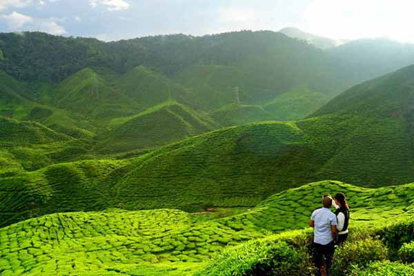 Places to Visit in Assam