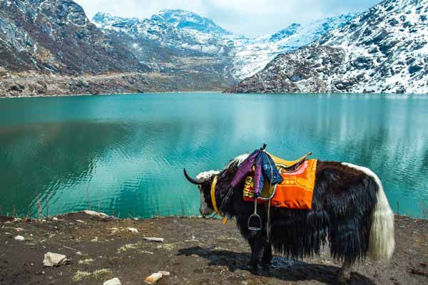 Places to Visit in Sikkim