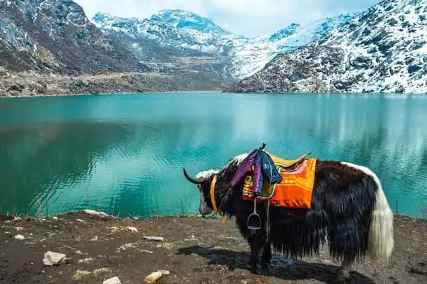 Places to Visit in Sikkim