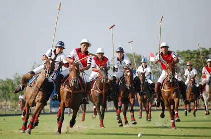 Polo Rajasthan