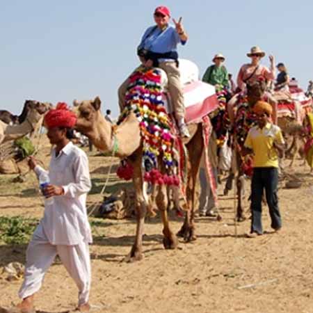 Take the Camel Safari 