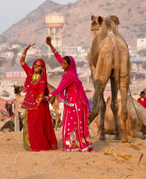 Pushkar Tour Planner