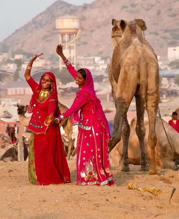 Pushkar Tour Planner