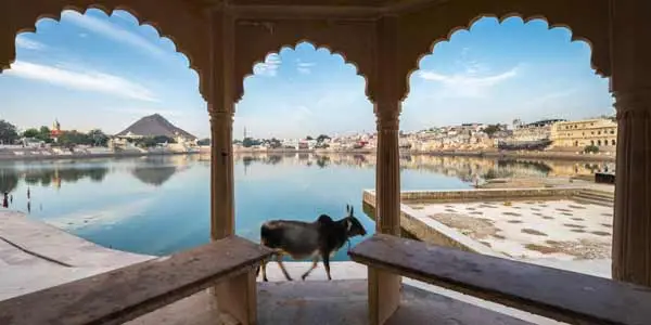 Jaipur Pushkar Same Day Tour Package