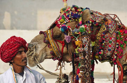 Jaipur Pushkar Tour 3 days