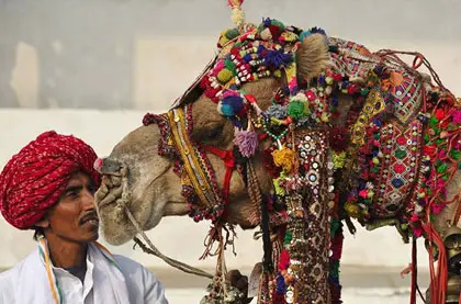 Pushkar Camel Fair