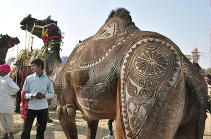 Rajasthan 6 Nights / 7 Days Tour Package