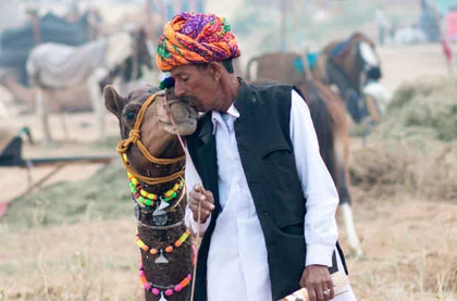 Rajasthan New Year Christmas Package