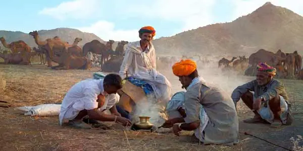 Pushkar same day tour from Jaipur
