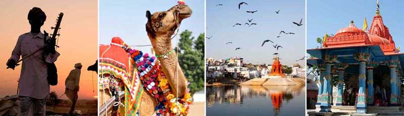 Pushkar Group Tour Packages