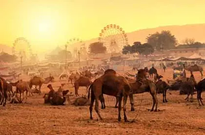 Pushkar City