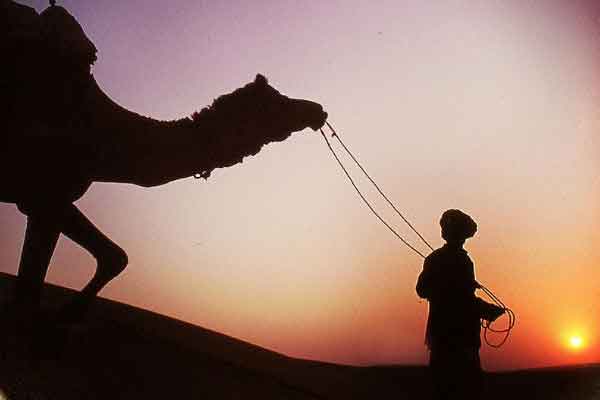 Best Selling Rajasthan Tours