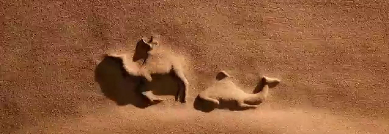 Rajasthan Film Shooting Tour Package