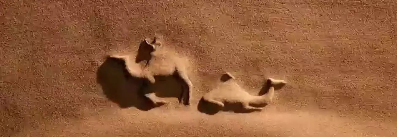 Rajasthan Film Shooting Tour Package