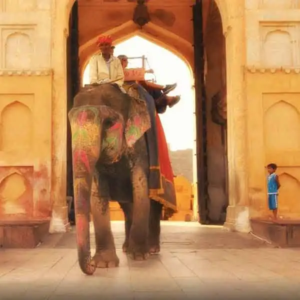 Rajasthan Special Interest