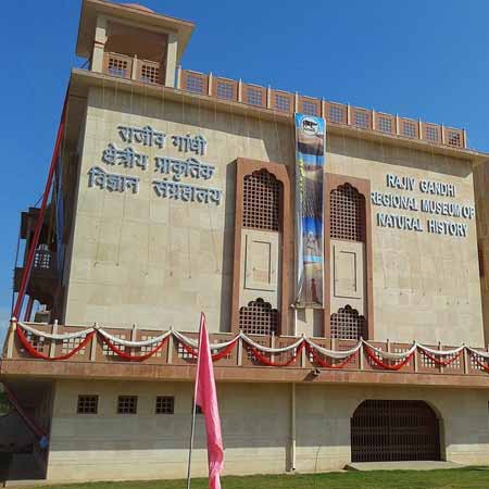 Rajiv Gandhi Regional Museum of Natural History
