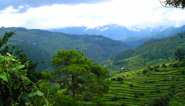 Ranikhet