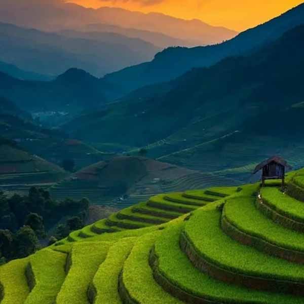 Dehradun Mussoorie Ranikhet Tour