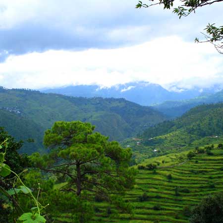 Ranikhet