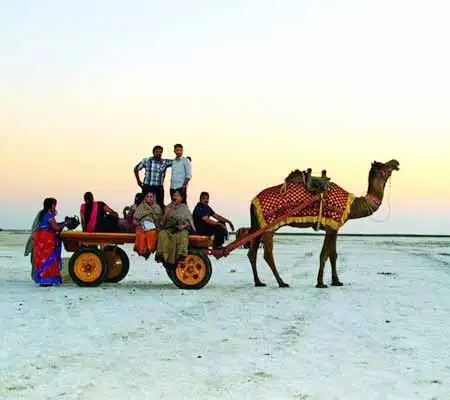 Rann Utsav Family Packages