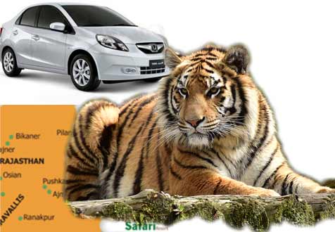 Rajasthan Tour in May