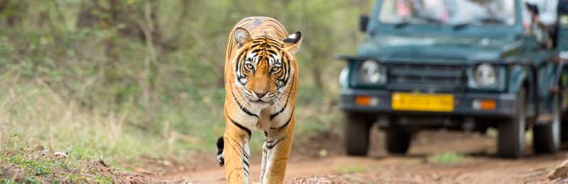 02-05 Days Rajasthan Tours