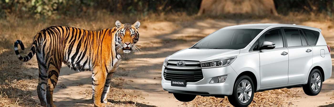 Ranthambore Sightseeing Car Hire