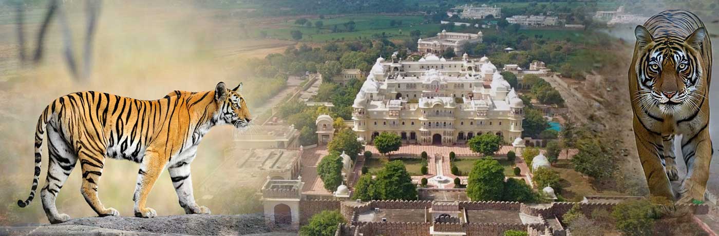 luxury Hotels and Resorts in Ranthambore