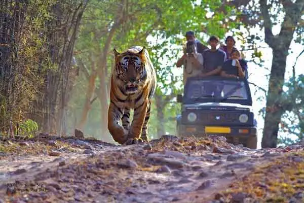 Ranthambore National Park