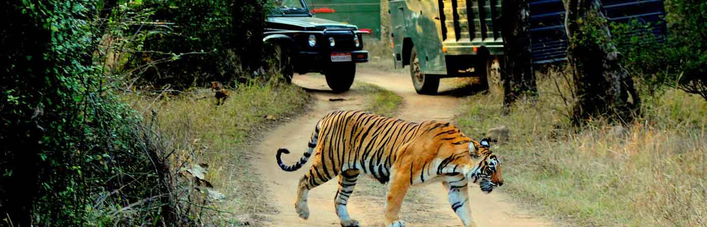 06-10 Days Rajasthan Tours Package