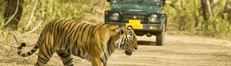 02-05 Days Rajasthan Tours