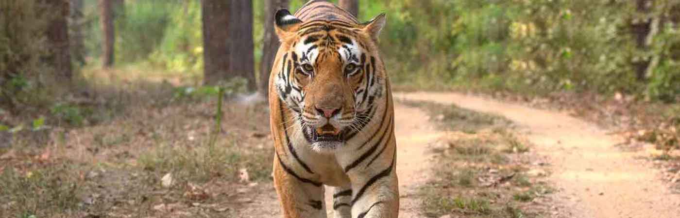 Rajasthan Tour code 37 Jaipur Siliserh Lake Tour