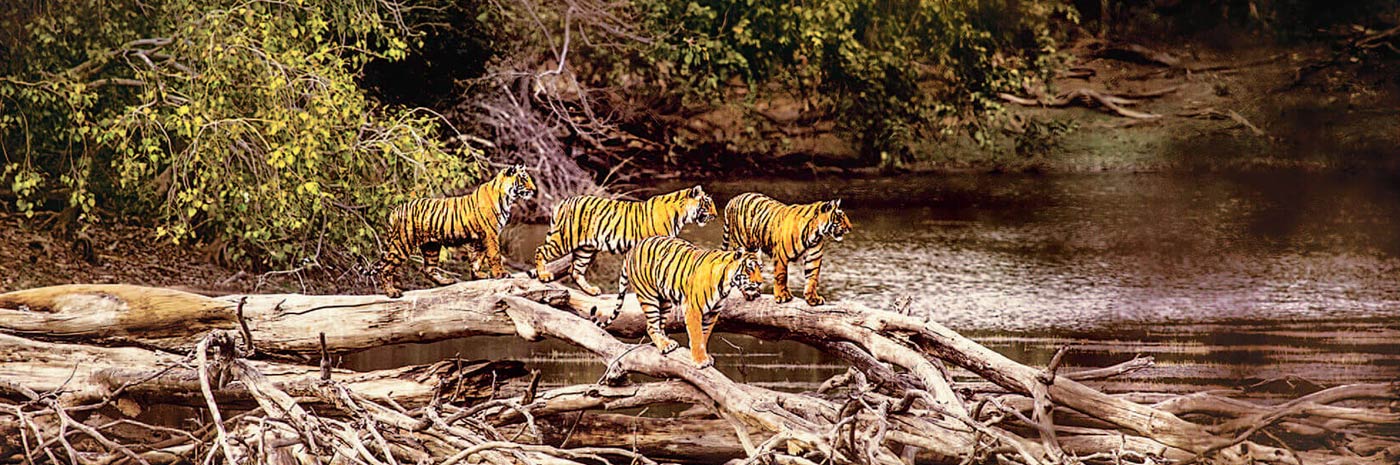 Tourist Places Rajasthan