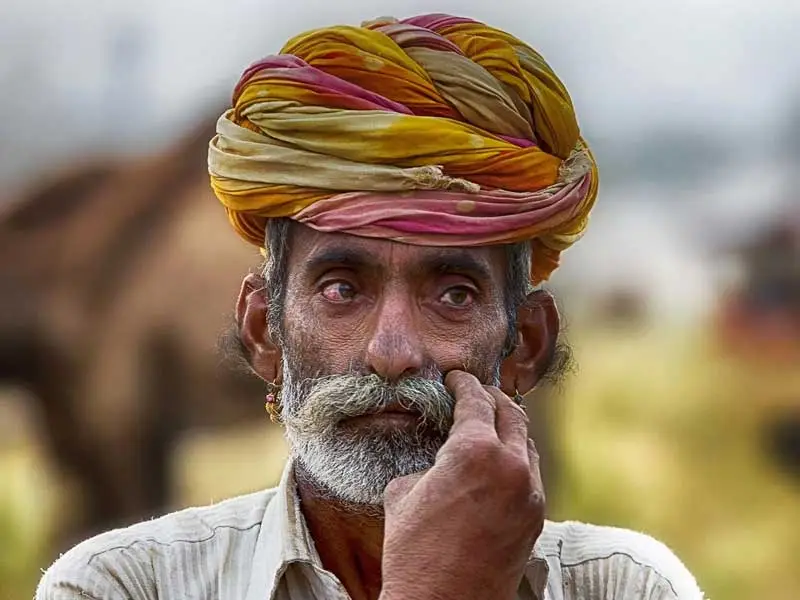 Luxury Senior Citizen Tour Packages