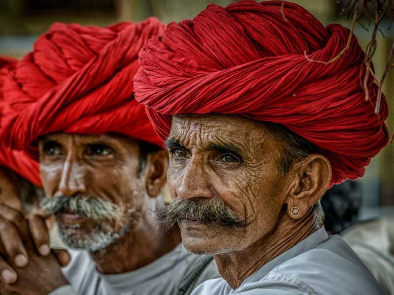 senior citizen tour packages