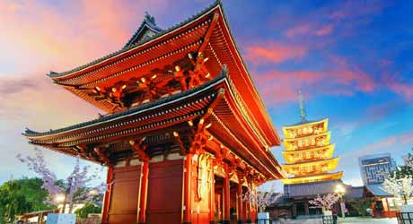 India Tour from Tokyo