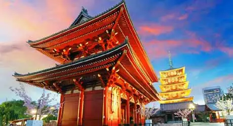 India Tour from Tokyo