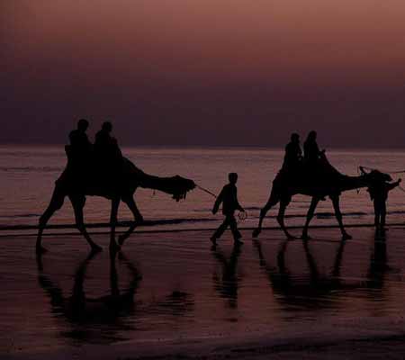 Tour Package in Kutch (6 Days)