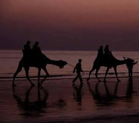 Tour Package in Kutch (6 Days)