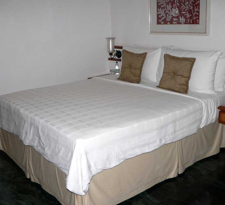 Trident Hotels Udaipur