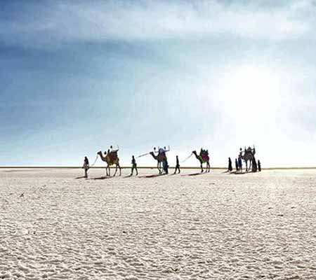Trip to Kutch (8 Days)