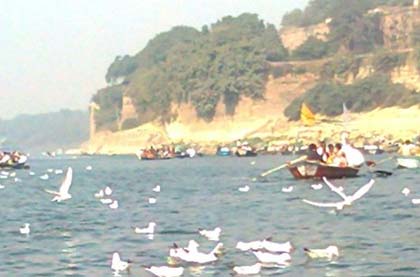 Triveni Sangam