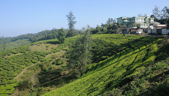Vagamon