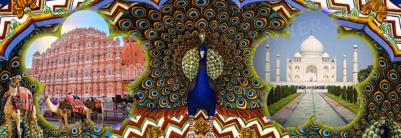 Viaggio India