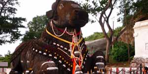 Vishvanath and Nandi Temple Khajuraho