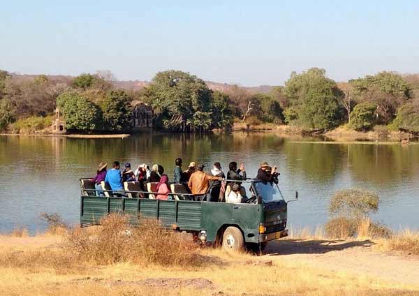 Wild Dragon Adventure Park