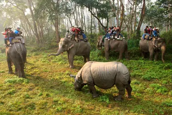 Nepal Wildlife Tour Package