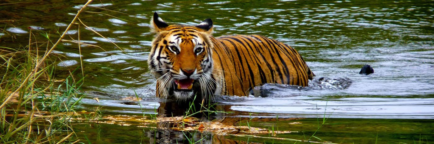 Rajasthan Tour Plan