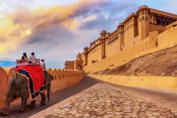 8 Days Golden Triangle Travel Package