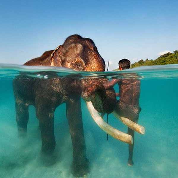 andaman tour package